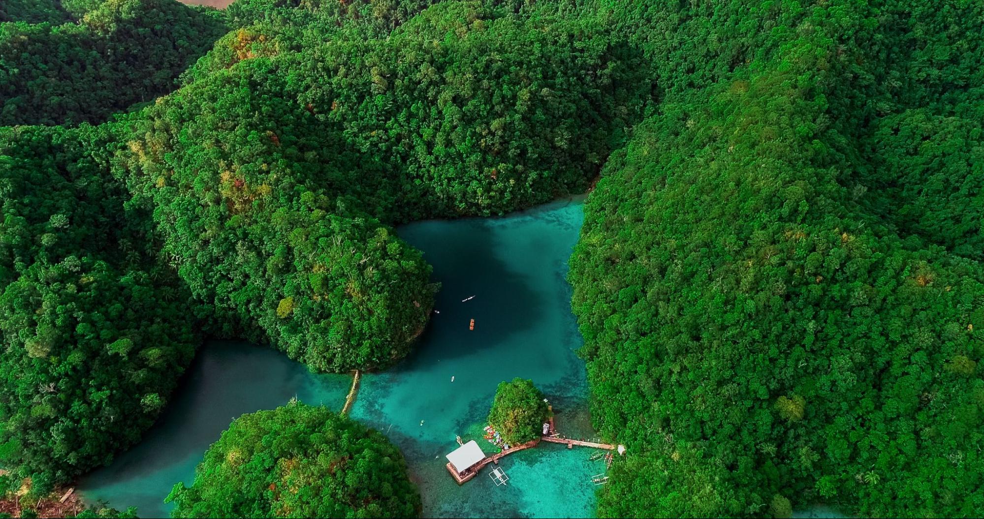 National Park, Siargao Island, Philippines National Park, Siargao Island, Philippines